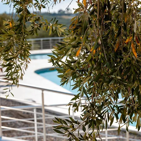 Elaionas Residenz Appartamento Prínos